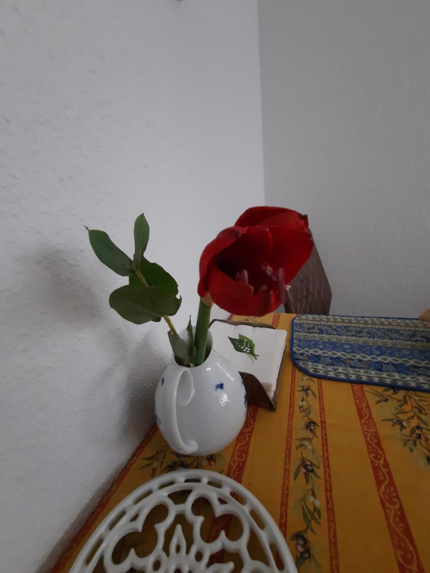 Gemuetliches Nest In Bester Koelner City-Wohnlage ภายนอก รูปภาพ